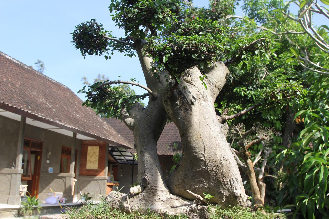 Jerogadung House Hotell Ubud Eksteriør bilde