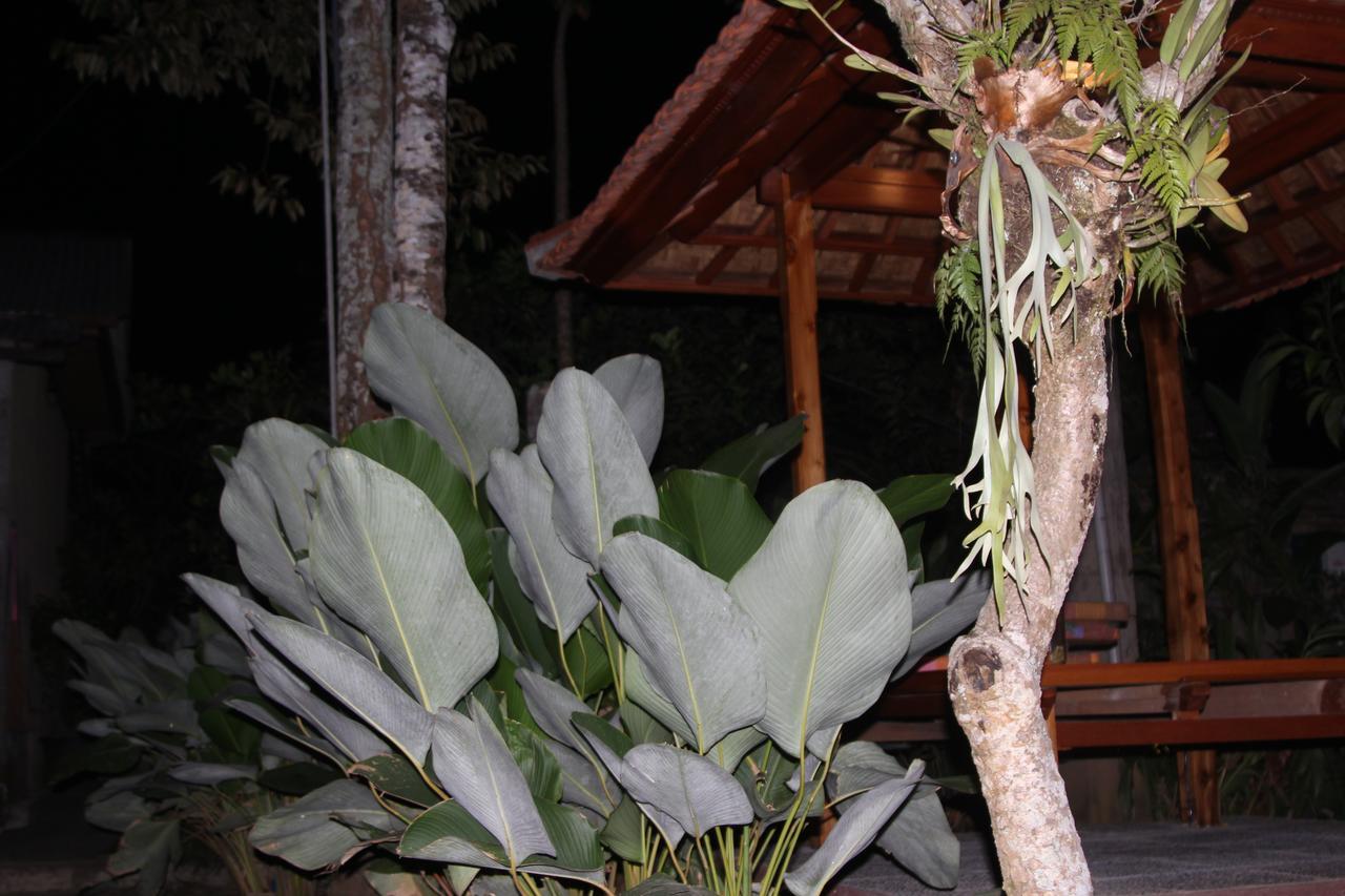 Jerogadung House Hotell Ubud Eksteriør bilde